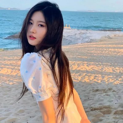 山上的松树